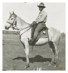 Constable Mahony working in Arnhem Land on horse "Roper" in the early 1930s.