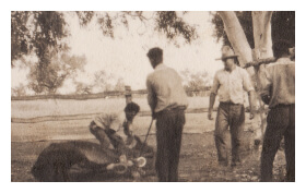 Black and White image of workers at Lake Nash