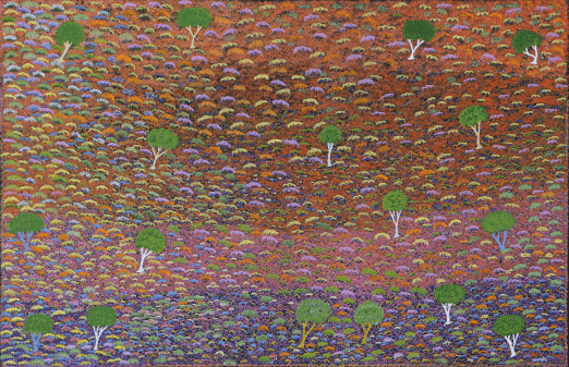 Paitning by Lilly Morton Kemarre showing brightly colored flowers and small bushes used in bush medicine