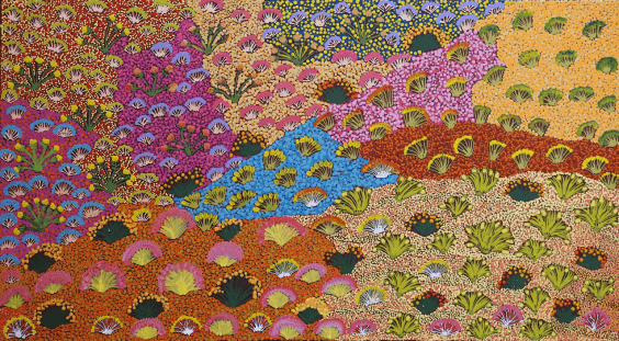 Painting titled My Country and Bush Medicine Plants by Julieanne Ngwarraye Morton showing landscape changes during the seasons in the year