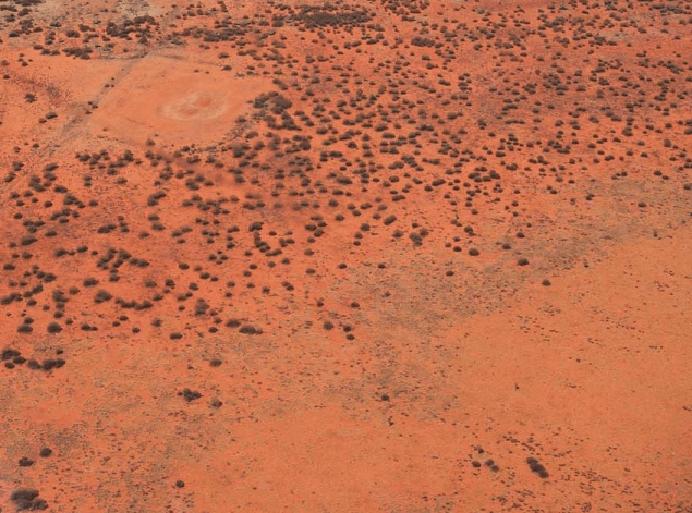 A photo of the desert in Central Austrial showing red earth caused by iron oxide accmulation 