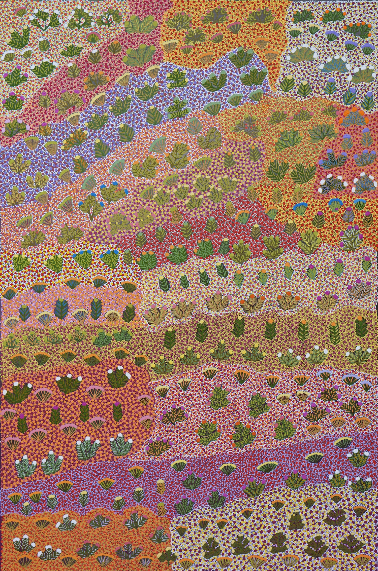 A painting titled My Mothers Country by Daisy Kemarre Holmes of Kngwarraye country where bush medicine and traditional bush foods are found.
