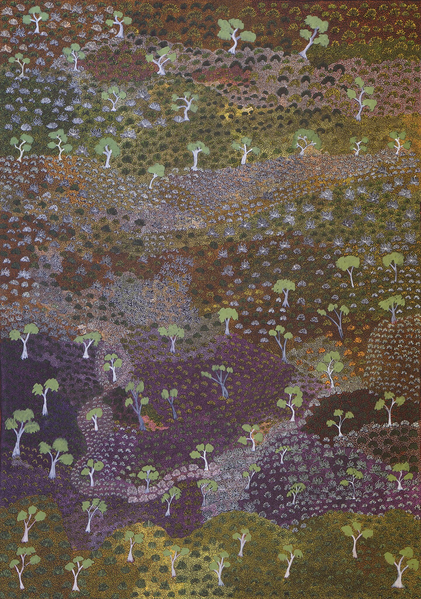 Painting titled Title of Piece done by Colleen depecting her Grandfathers country and the bush medicines and plants that grow there